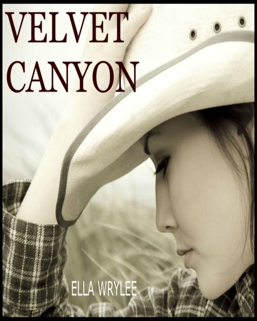 Cover of the book Velvet Canyon by Ella Wrylee, Ella Wrylee