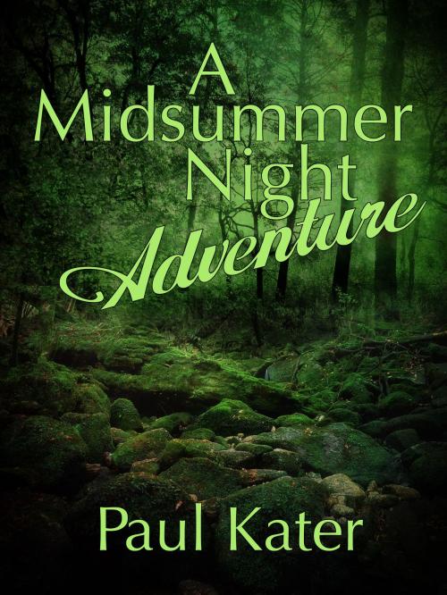 Cover of the book A Midsummer Night Adventure by Paul Kater, Paul Kater