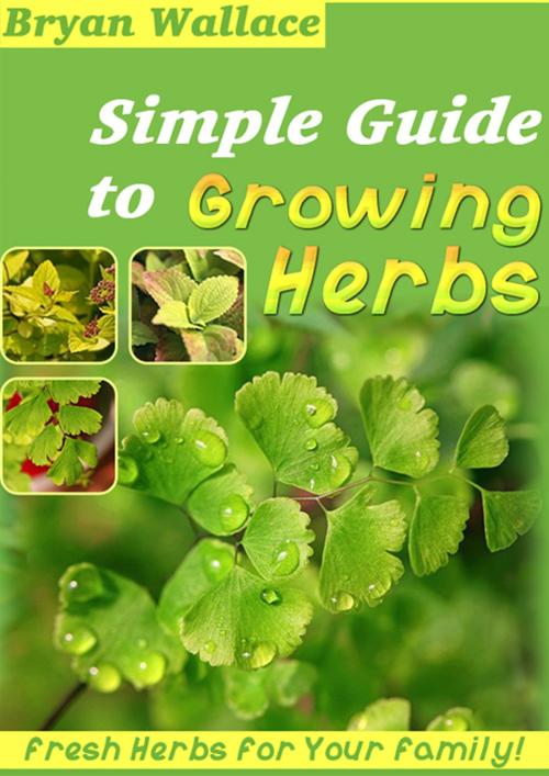 Cover of the book Simple Guide to Grow Herbs by Brian Wallace, CPublishing
