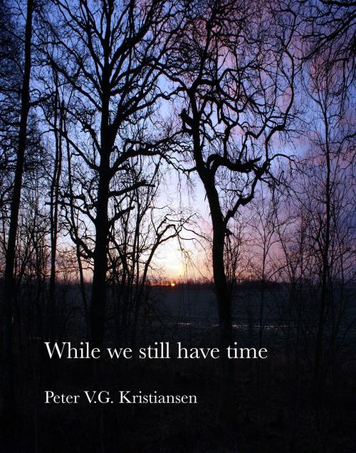 Cover of the book While We Still Have Time by Peter V.G. Kristiansen, Peter V.G. Kristiansen