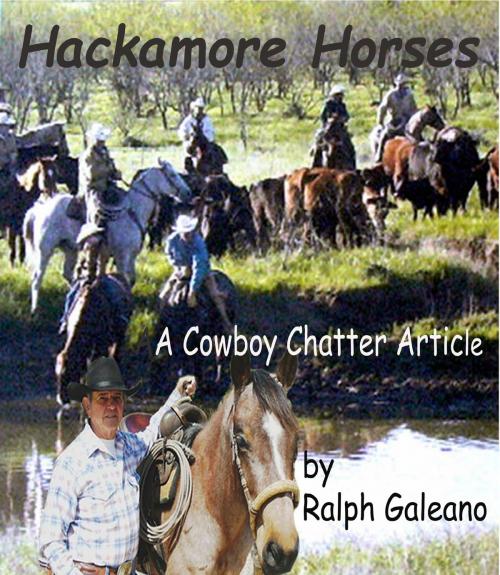 Cover of the book Hackamore Horses A Cowboy Chatter Article by Ralph Galeano, Ralph Galeano