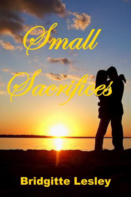 Cover of the book Small Sacrifices by Bridgitte Lesley, Bridgitte Lesley