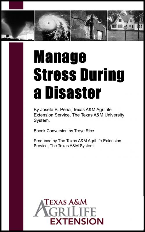 Cover of the book Manage Stress During a Disaster by Texas A&M AgriLife Extension Service, Texas A&M AgriLife Extension Service