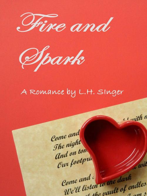 Cover of the book Fire and Spark by Laura Singer, Laura Singer