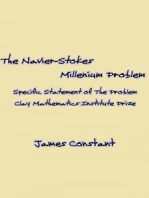 Cover of the book The Navier-Stokes Millenium Problem by James Constant, James Constant
