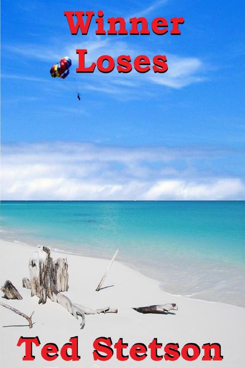 Cover of the book Winner Loses by Ted Stetson, Ted Stetson