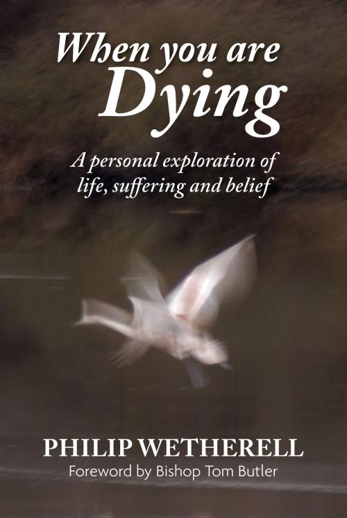 Cover of the book When You Are Dying: A Personal Exploration of Life, Suffering, and Belief by Philip Wetherell, Gilead Books Publishing