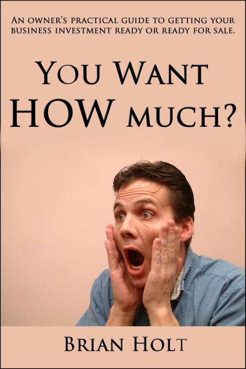 Cover of the book You Want How Much by Brian Holt, Brian Holt