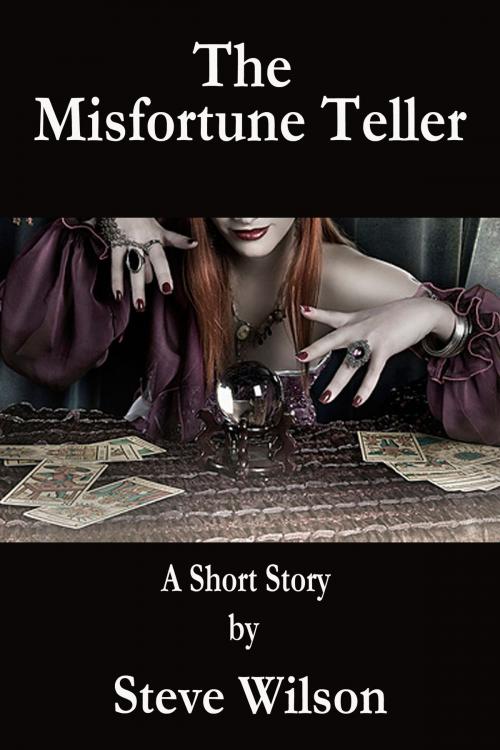 Cover of the book The Misfortune Teller by Steven Patrick Wilson, Steven Patrick Wilson
