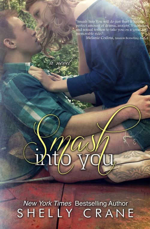 Cover of the book Smash Into You by Shelly Crane, Shelly Crane