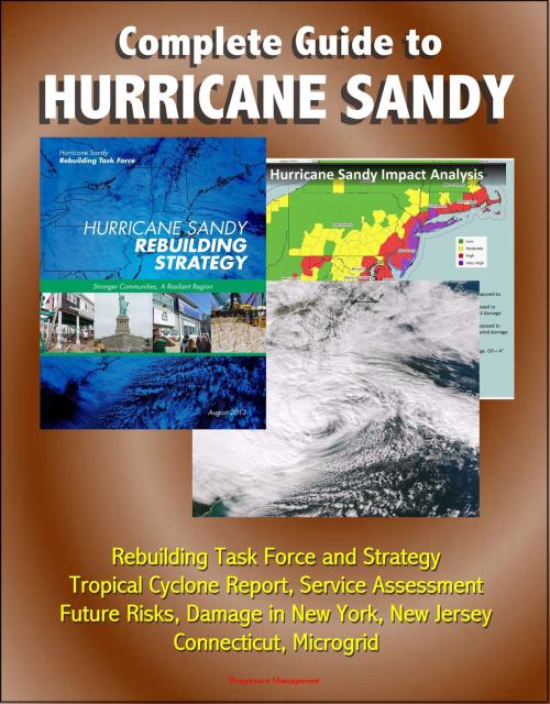 Cover of the book Complete Guide to Hurricane Sandy: Rebuilding Task Force and Strategy, Tropical Cyclone Report, Service Assessment, Future Risks, Damage in New York, New Jersey, Connecticut, Microgrid by Progressive Management, Progressive Management