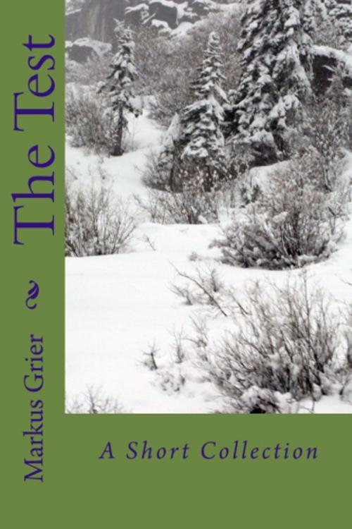 Cover of the book The Test by Markus Grier, Markus Grier
