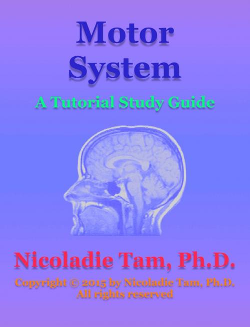 Cover of the book Motor System: A Tutorial Study Guide by Nicoladie Tam, Ph.D., Nicoladie Tam, Ph.D.