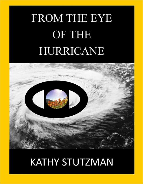 Cover of the book From The Eye of The Hurricane by Kathy Stutzman, Kathy Stutzman