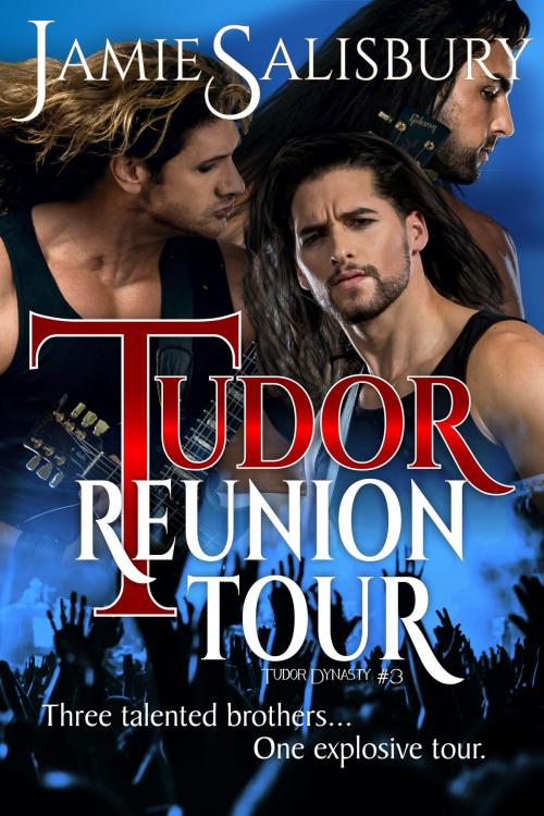 Cover of the book Tudor Reunion Tour by Jamie Salisbury, Jamie Salisbury