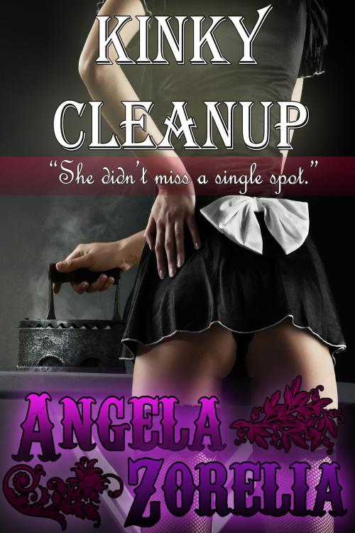 Cover of the book Kinky Cleanup by Angela Zorelia, Angela Zorelia
