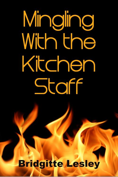 Cover of the book Mingling With the Kitchen Staff by Bridgitte Lesley, Bridgitte Lesley