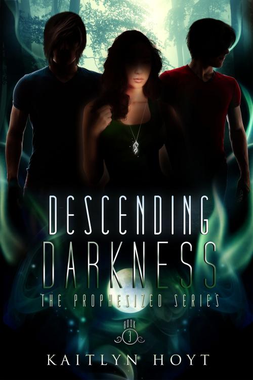 Cover of the book Descending Darkness by Kaitlyn Hoyt, Kaitlyn Hoyt