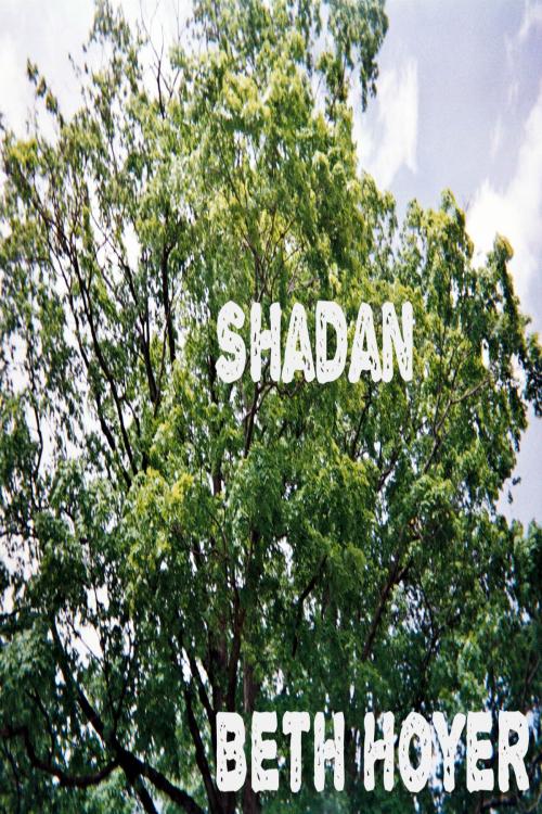 Cover of the book Shadan by Beth Hoyer, Beth Hoyer