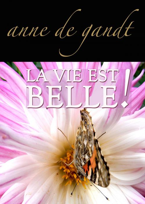 Cover of the book La vie est belle ! (Saison 4) by Anne de Gandt, Anne de Gandt