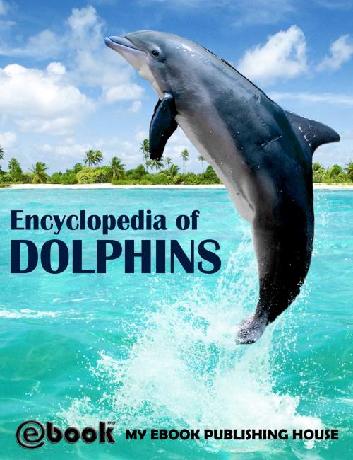 Cover of the book Encyclopedia of Dolphins by My Ebook Publishing House, My Ebook Publishing House