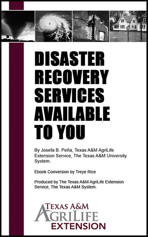 Cover of the book Disaster Recovery Services Available to You by Texas A&M AgriLife Extension Service, Texas A&M AgriLife Extension Service