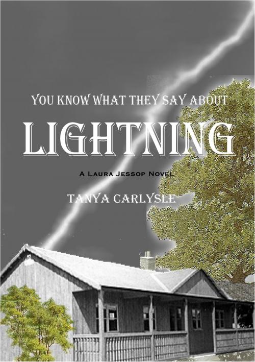 Cover of the book You Know What They say About Lightning by Tanya Carlysle, Tanya Carlysle