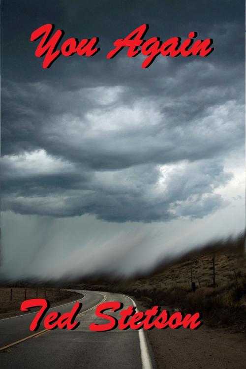 Cover of the book You Again by Ted Stetson, Ted Stetson