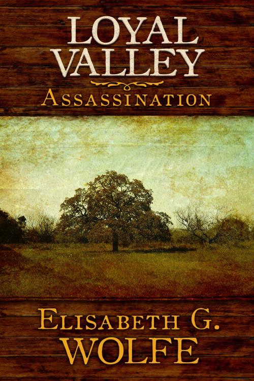 Cover of the book Loyal Valley: Assassination by Elisabeth G. Wolfe, Elisabeth G. Wolfe
