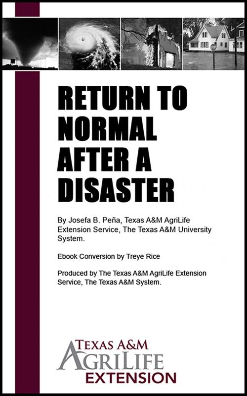 Cover of the book Return to Normal After a Disaster by Texas A&M AgriLife Extension Service, Texas A&M AgriLife Extension Service