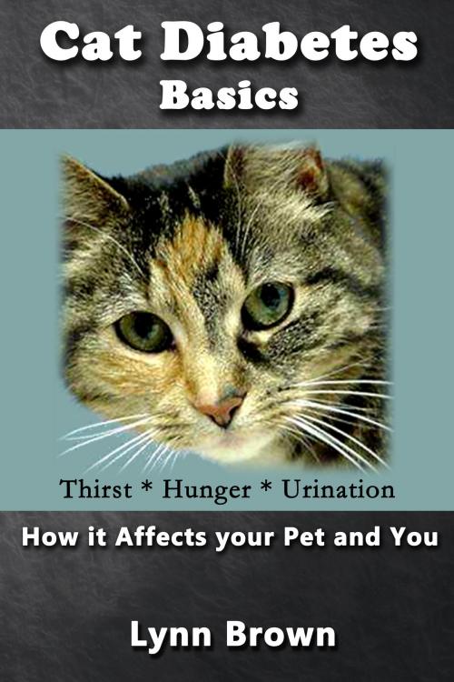 Cover of the book Cat Diabetes Basics by Lynn Brown, Lynn Brown