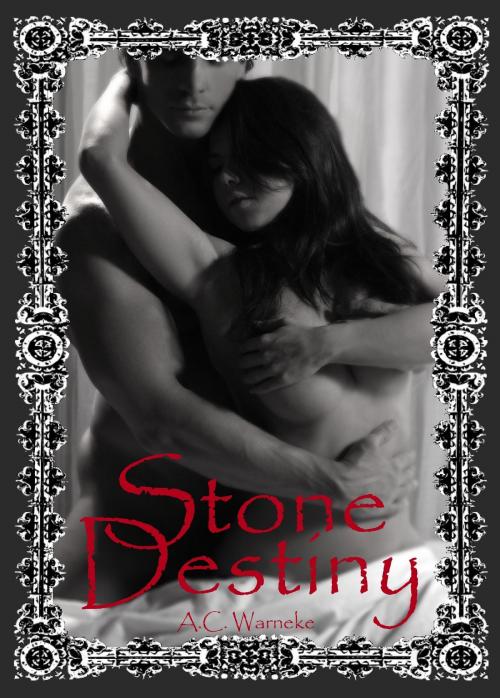 Cover of the book Stone Destiny by A.C. Warneke, A.C. Warneke