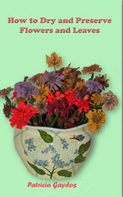 Cover of the book How to Preserve and Dry Flowers and Leaves by Patricia Gaydos, Patricia Gaydos
