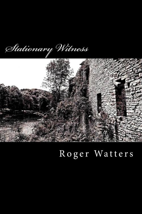 Cover of the book Stationary Witness by Roger Watters, Roger Watters