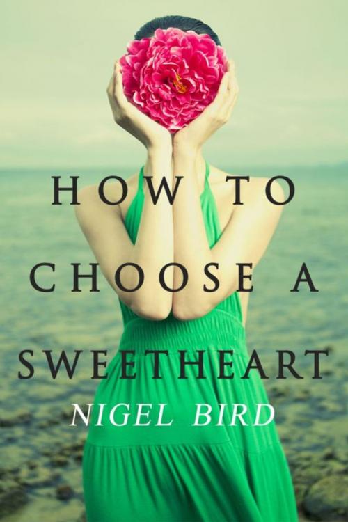 Cover of the book How To Choose A Sweetheart by Nigel Bird, Sea Minor