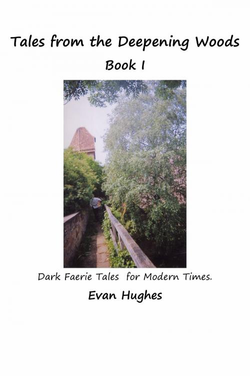 Cover of the book Tales from the Deepening Woods: Book I by Evan Hughes, Evan Hughes