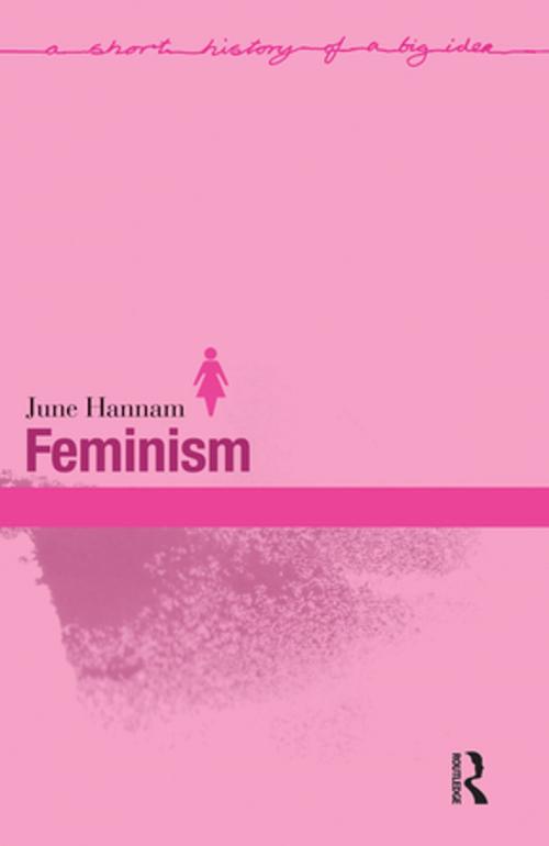 Cover of the book Feminism by June Hannam, Taylor and Francis