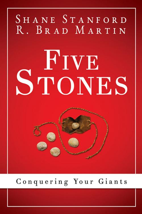 Cover of the book Five Stones by Shane Stanford, R. Brad Martin, Abingdon Press