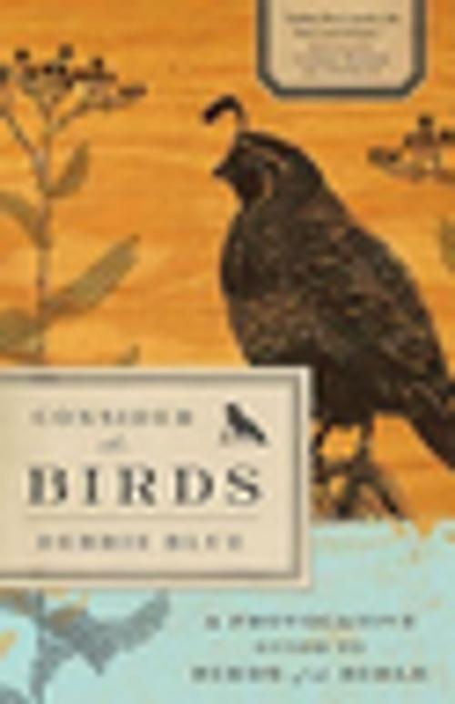 Cover of the book Consider the Birds by Debbie Blue, Abingdon Press