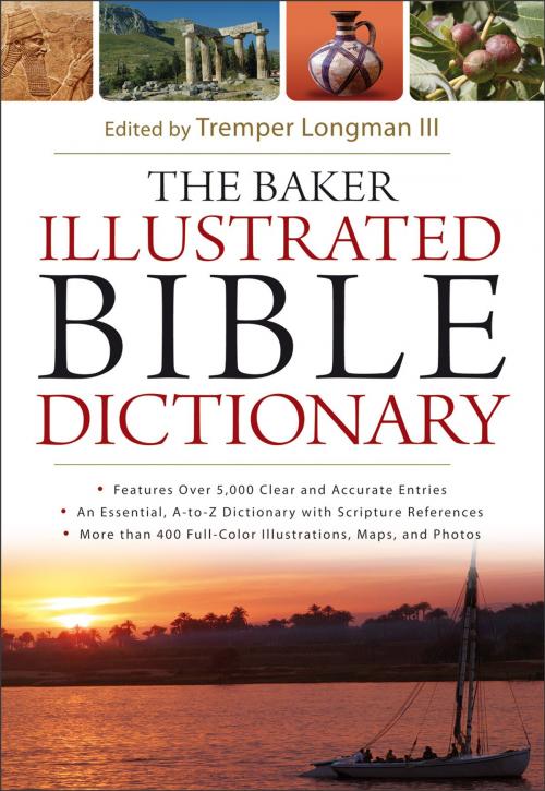Cover of the book The Baker Illustrated Bible Dictionary by , Baker Publishing Group