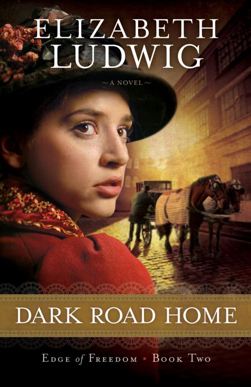Cover of the book Dark Road Home (Edge of Freedom Book #2) by Elizabeth Ludwig, Baker Publishing Group