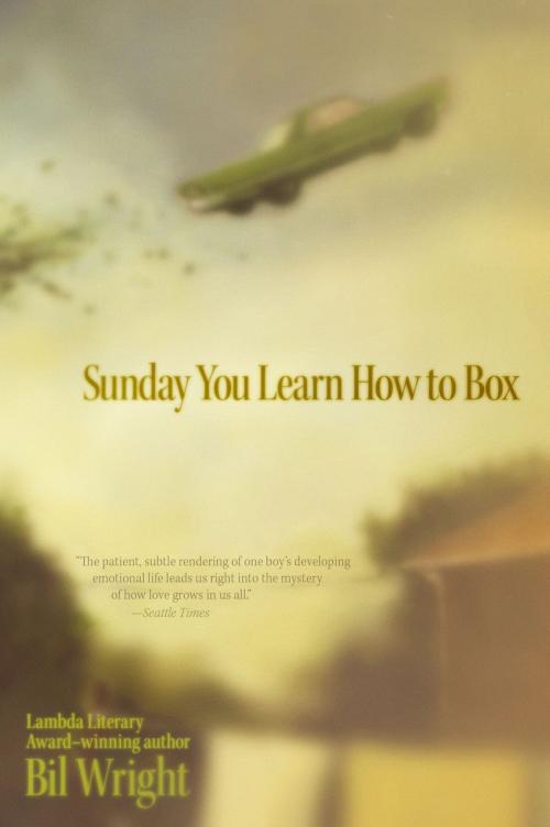 Cover of the book Sunday You Learn How to Box by Bil Wright, Simon & Schuster Books for Young Readers
