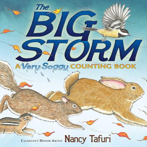 Cover of the book The Big Storm by Nancy Tafuri, Simon & Schuster Books for Young Readers