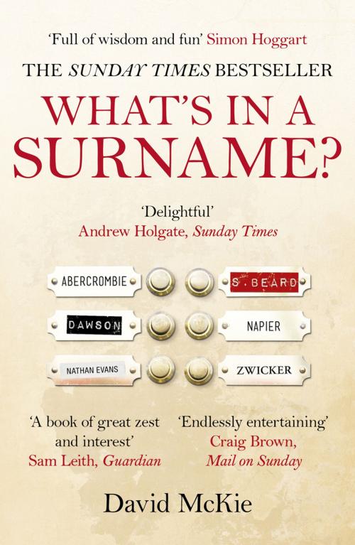 Cover of the book What's in a Surname? by David McKie, Random House