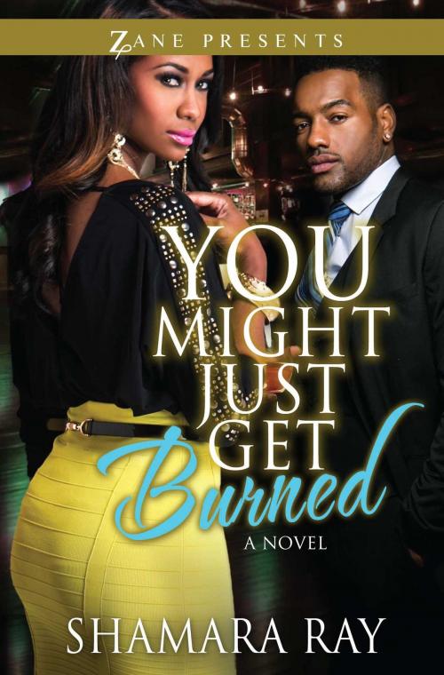 Cover of the book You Might Just Get Burned by Shamara Ray, Strebor Books