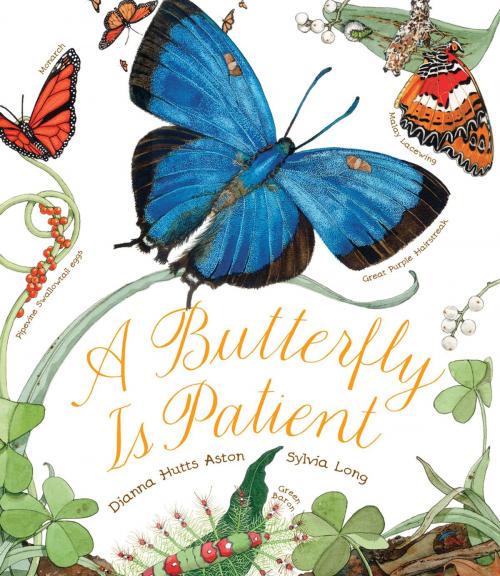 Cover of the book A Butterfly Is Patient by Dianna Hutts Aston, Chronicle Books LLC
