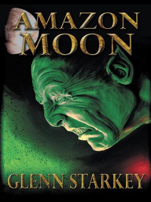 Cover of the book Amazon Moon by Glenn Starkey, Abbott Press