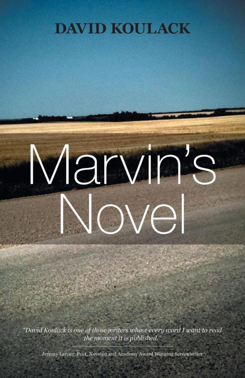 Cover of the book Marvin's Novel by David Koulack, FriesenPress
