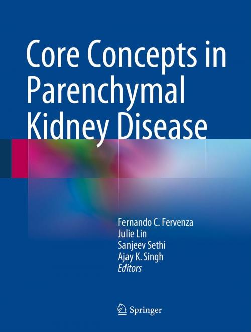 Cover of the book Core Concepts in Parenchymal Kidney Disease by , Springer New York