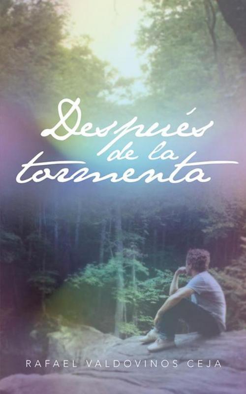 Cover of the book Después De La Tormenta by Rafael Valdovinos Ceja, Palibrio